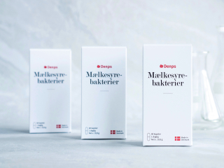 Der er forskel på bakterier – Alt om mælkesyrebakterier