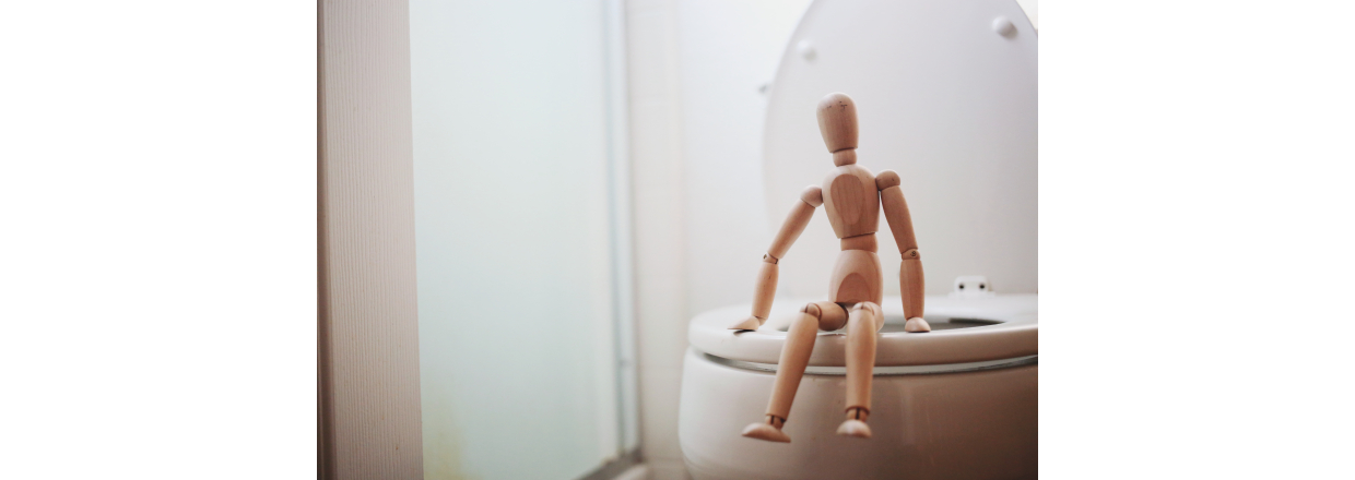 Gr du rigtigt p toilettet?